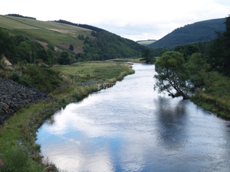 The River Tweed The River Tweed